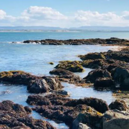 Bed & Breakfast Ross Family