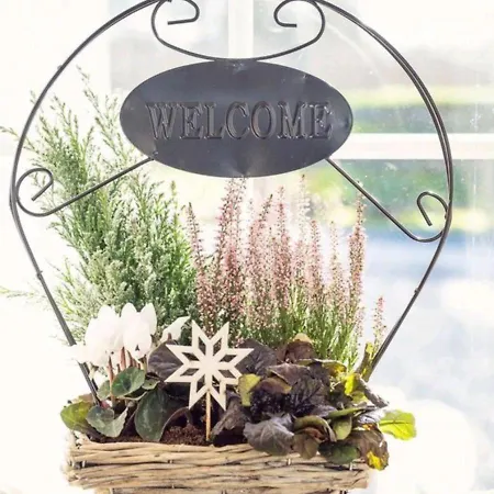 Ross Family Bed & Breakfast Killala