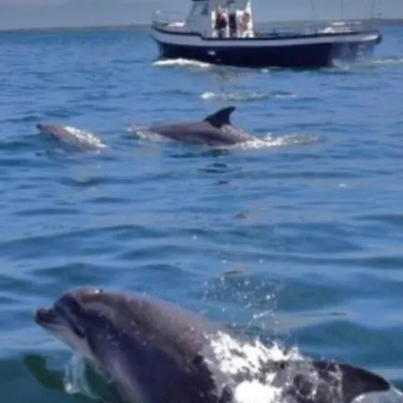 Ross Family Bed & Breakfast